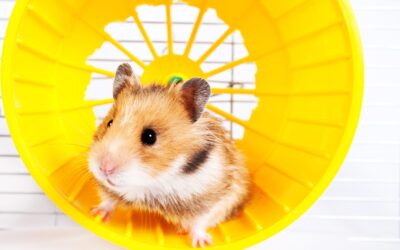 Entspannung –  die Ruhe nach dem Sturm